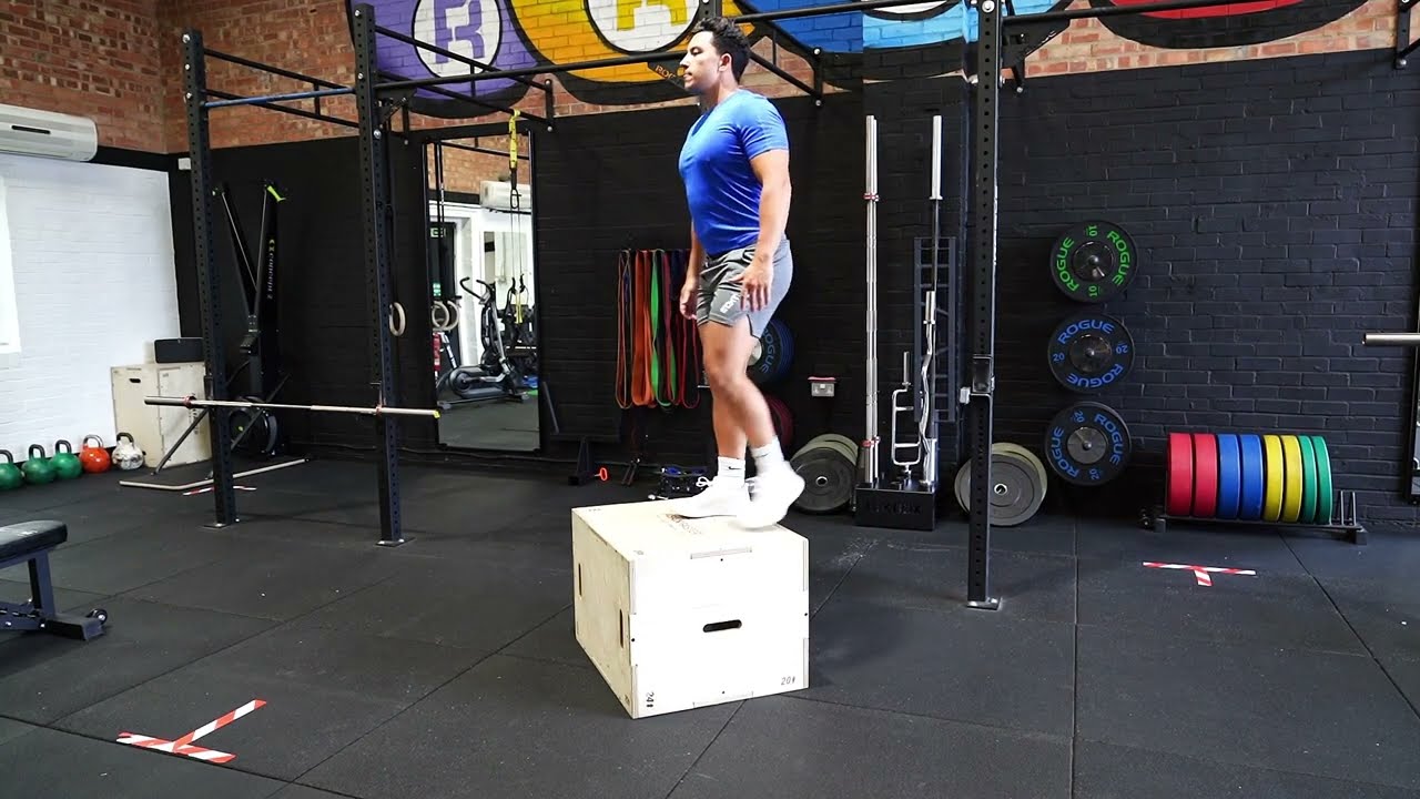 Box Step Up | Lunge | Strength and Conditioning Exercises - YouTube