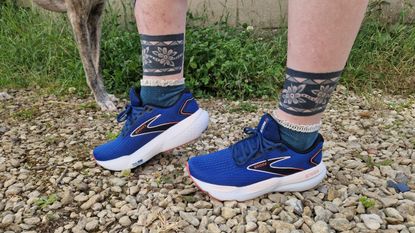 A pair of blue Brooks Glycerin 21, modelled on a gravel path. In the background we see grass and a dog's legs.